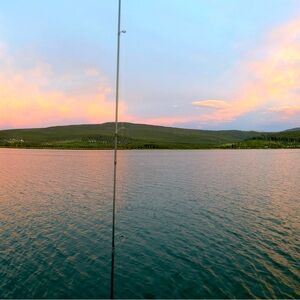 Meet your Posher, Brenda